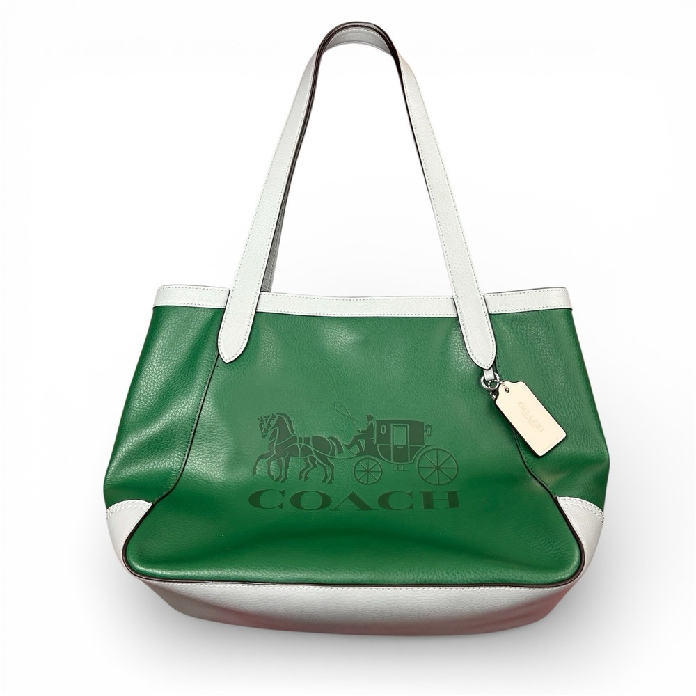 Coach Colorblock Horse & Carriage Carry All Tote Bag Green Multi C5676